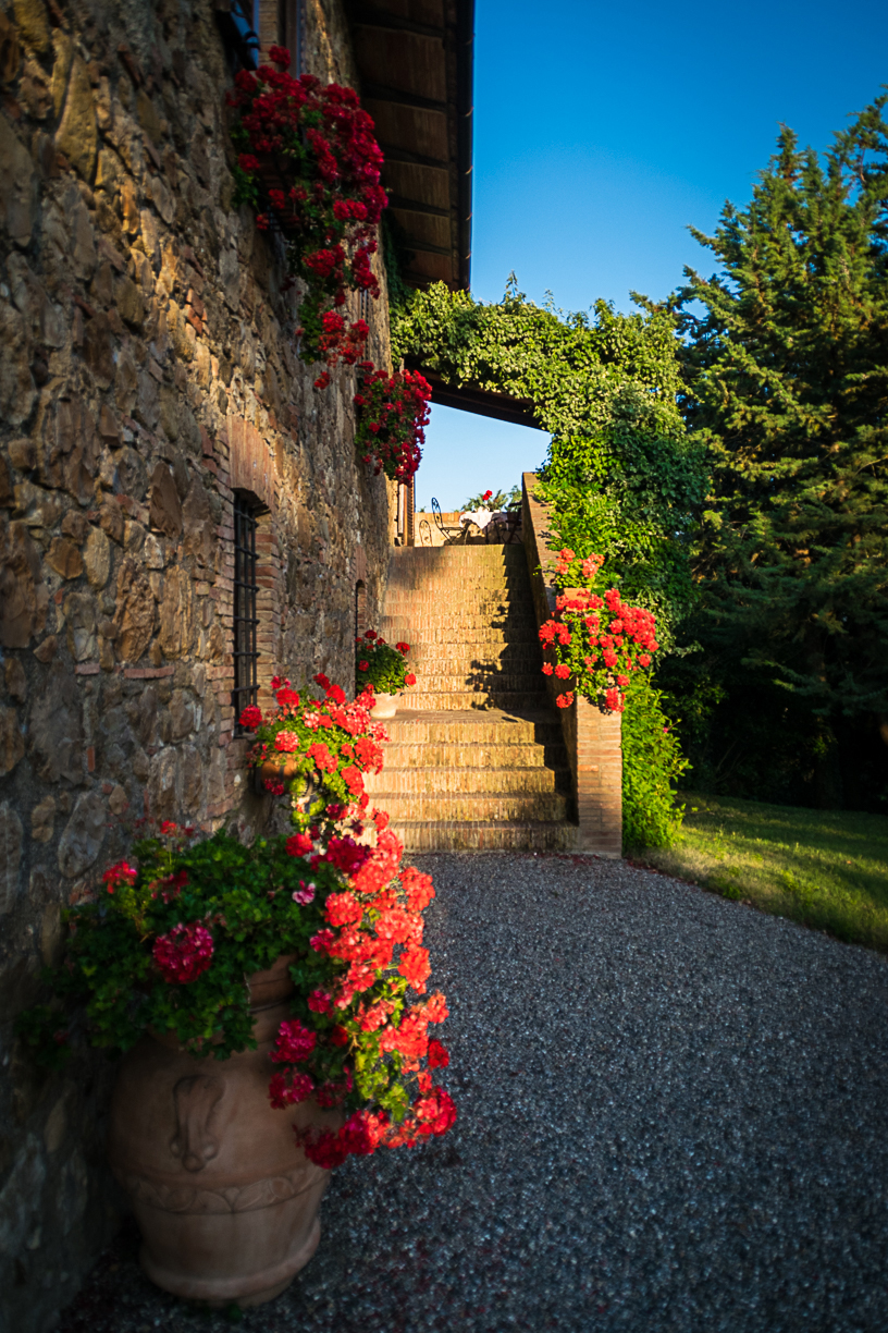Edera - ingresso