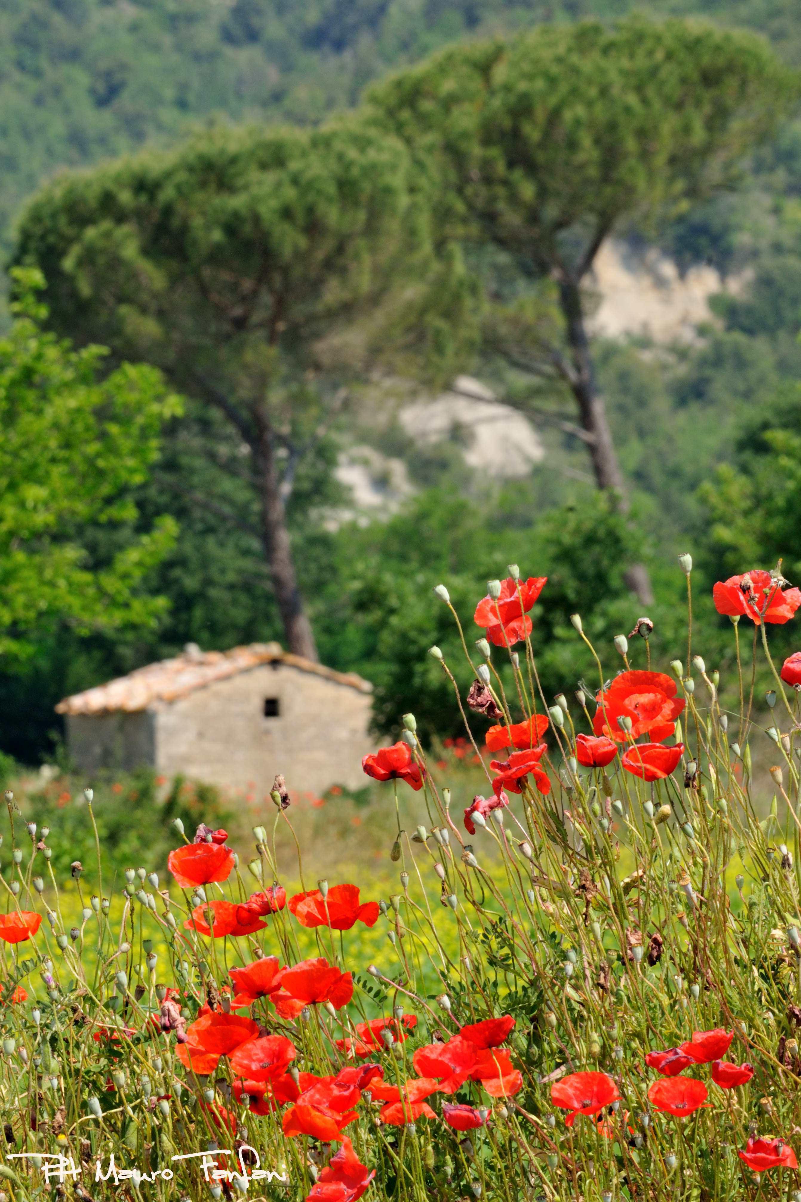 Natura in Toscana